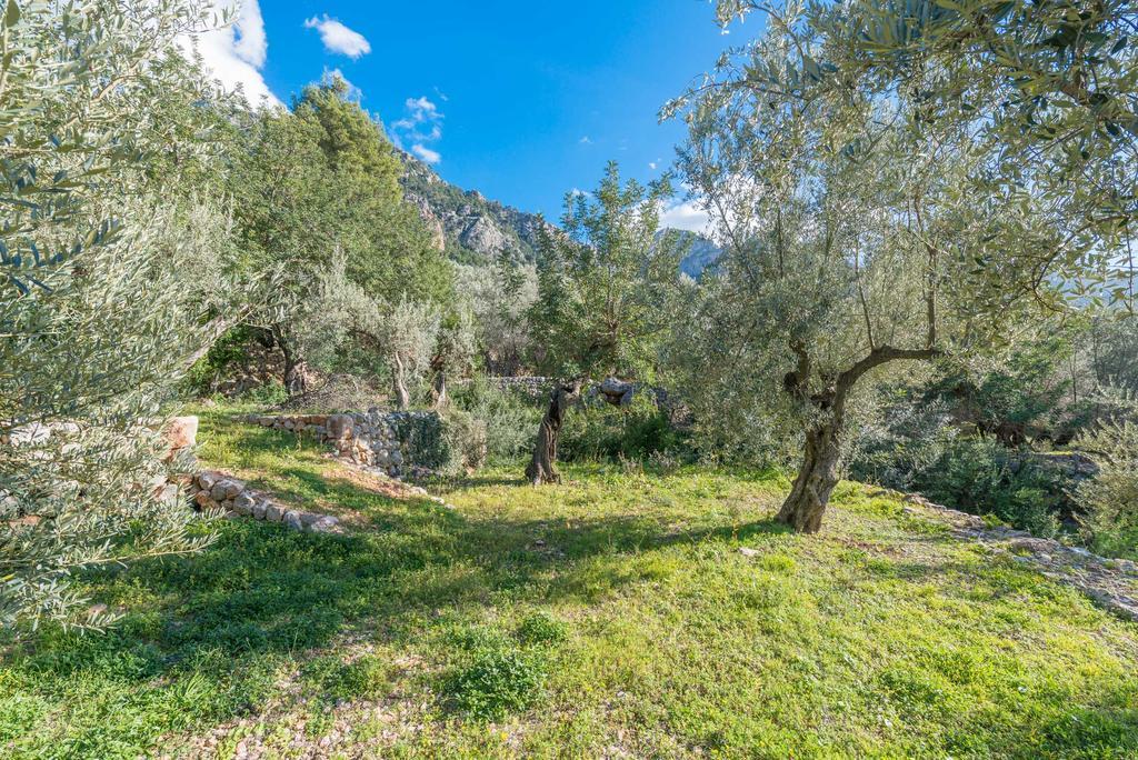 S'Olivaret Fornalutx Εξωτερικό φωτογραφία